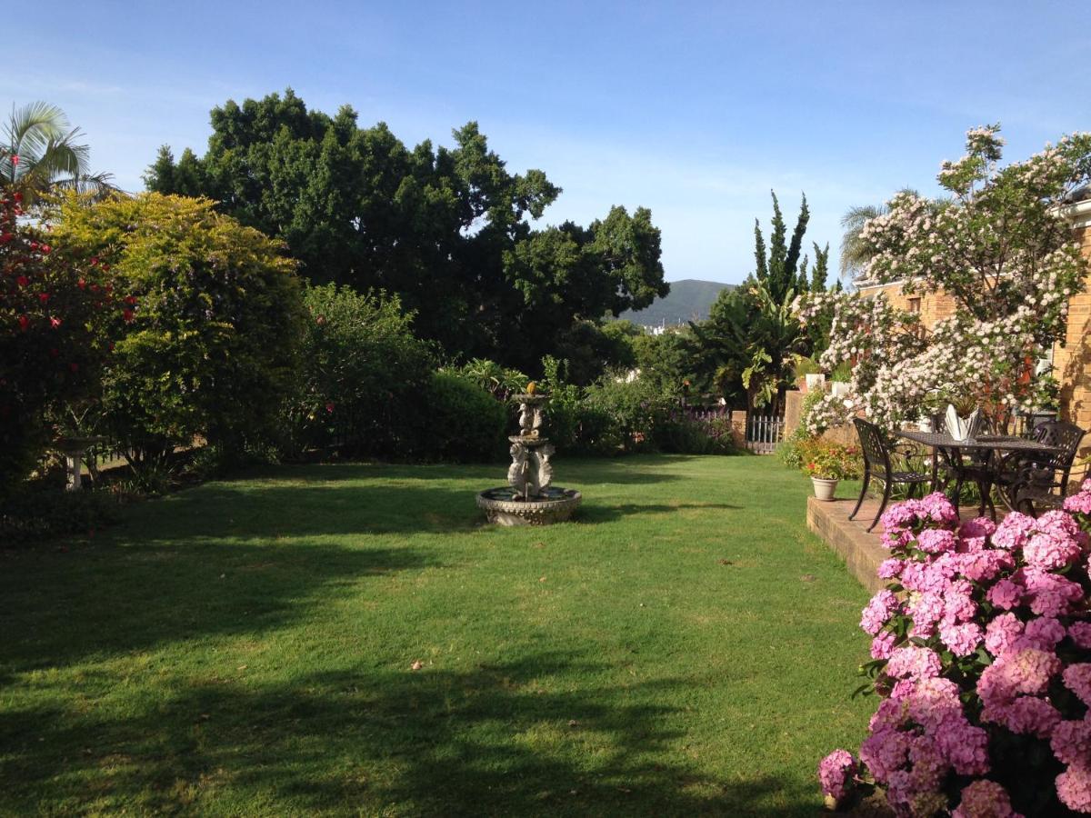 Bed and breakfast Blue Fern Of Knysna Extérieur photo