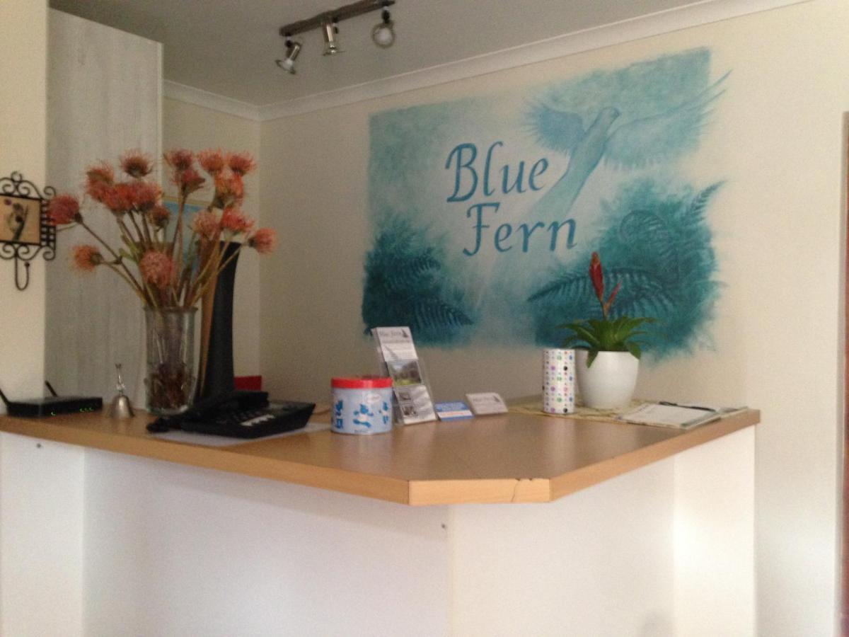 Bed and breakfast Blue Fern Of Knysna Extérieur photo