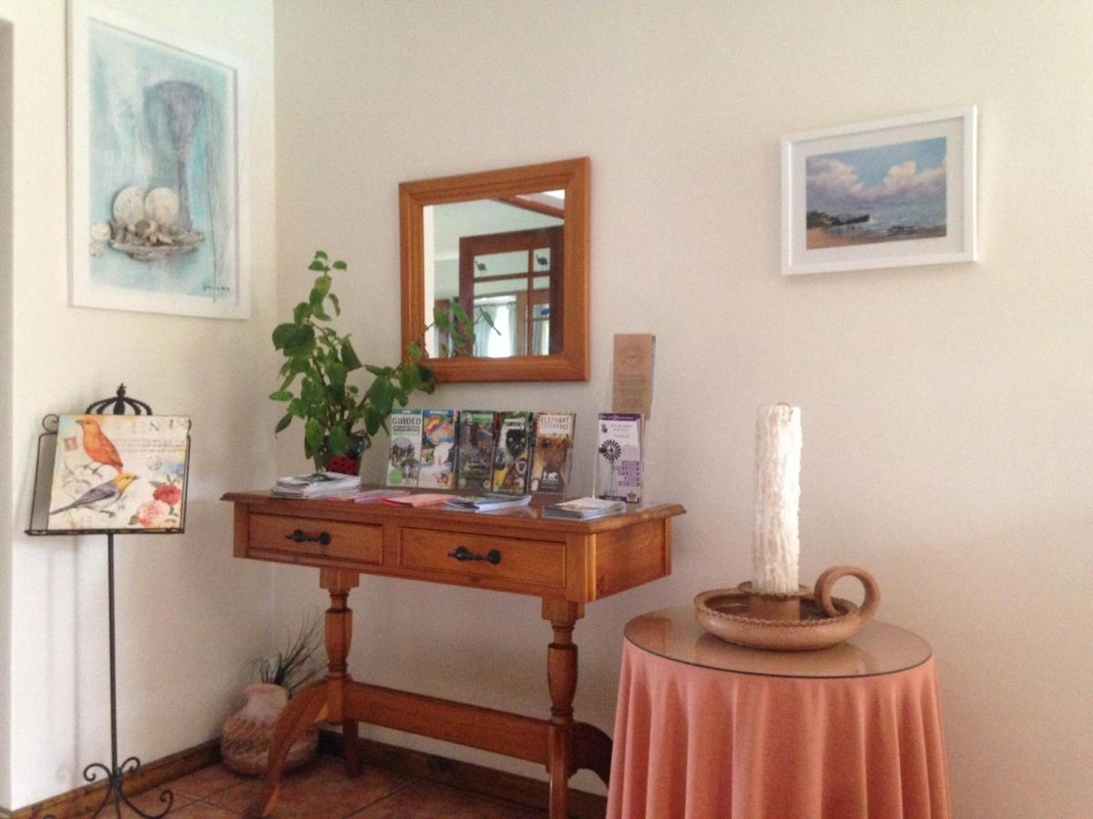 Bed and breakfast Blue Fern Of Knysna Extérieur photo