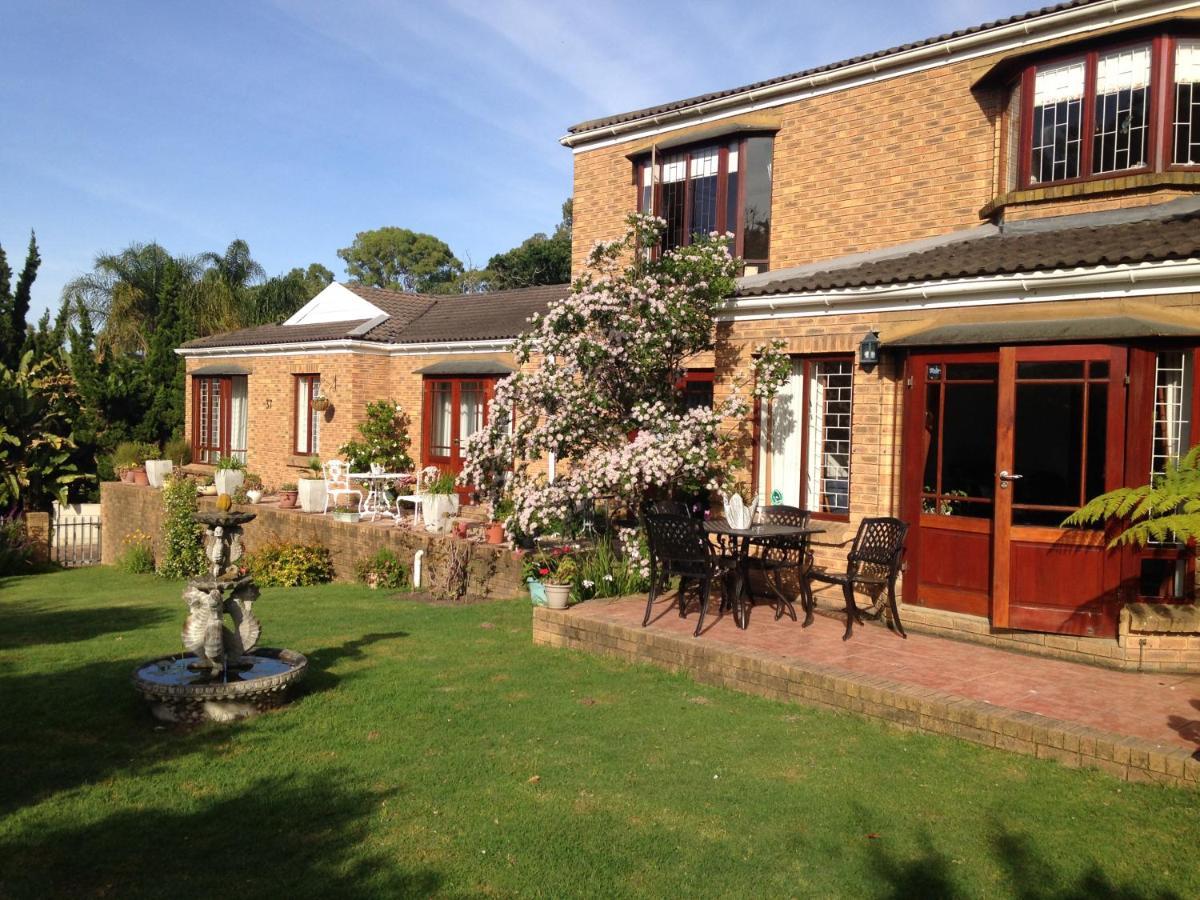 Bed and breakfast Blue Fern Of Knysna Extérieur photo