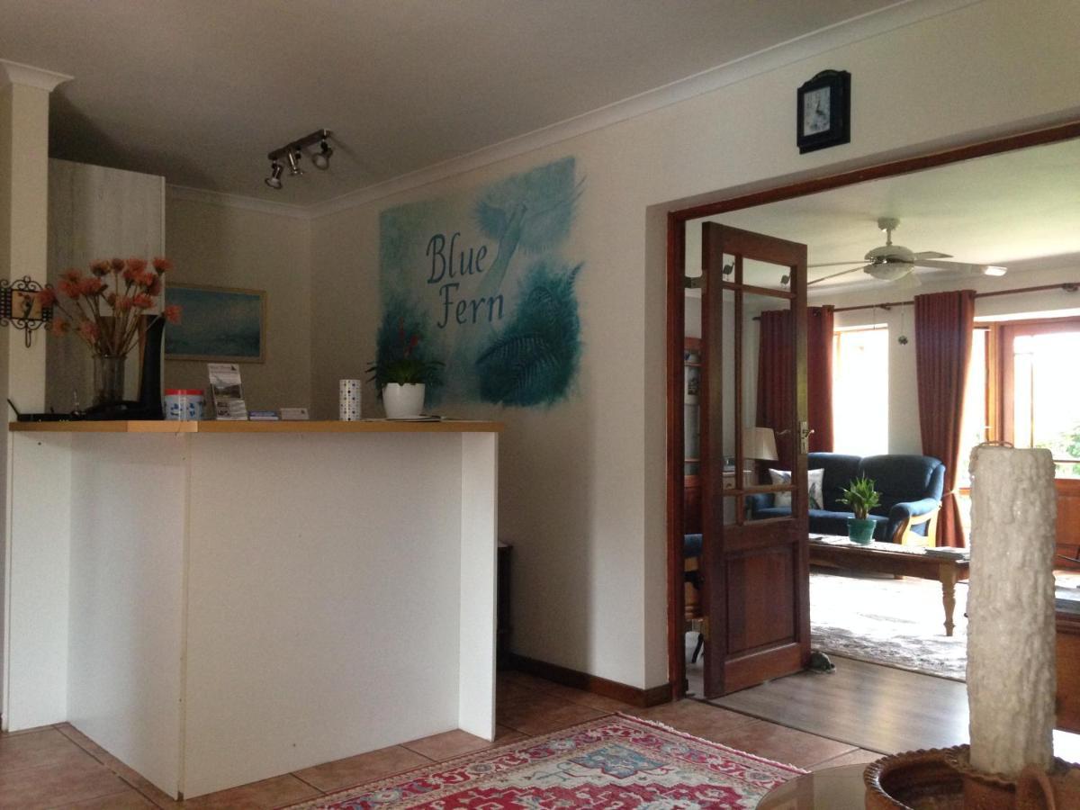 Bed and breakfast Blue Fern Of Knysna Extérieur photo