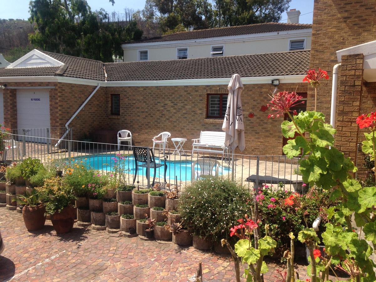Bed and breakfast Blue Fern Of Knysna Extérieur photo