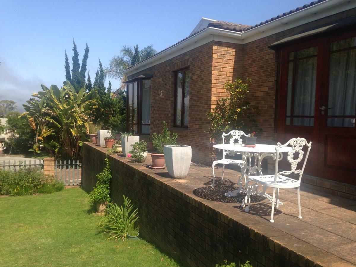 Bed and breakfast Blue Fern Of Knysna Extérieur photo