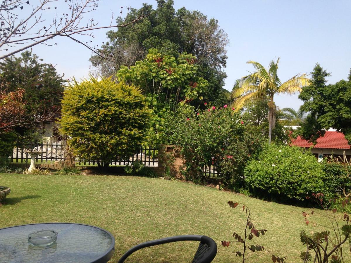 Bed and breakfast Blue Fern Of Knysna Extérieur photo